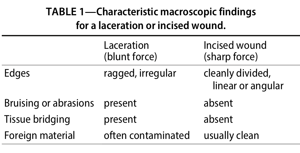 JVFS Intracranial Stab Wound In A Dog