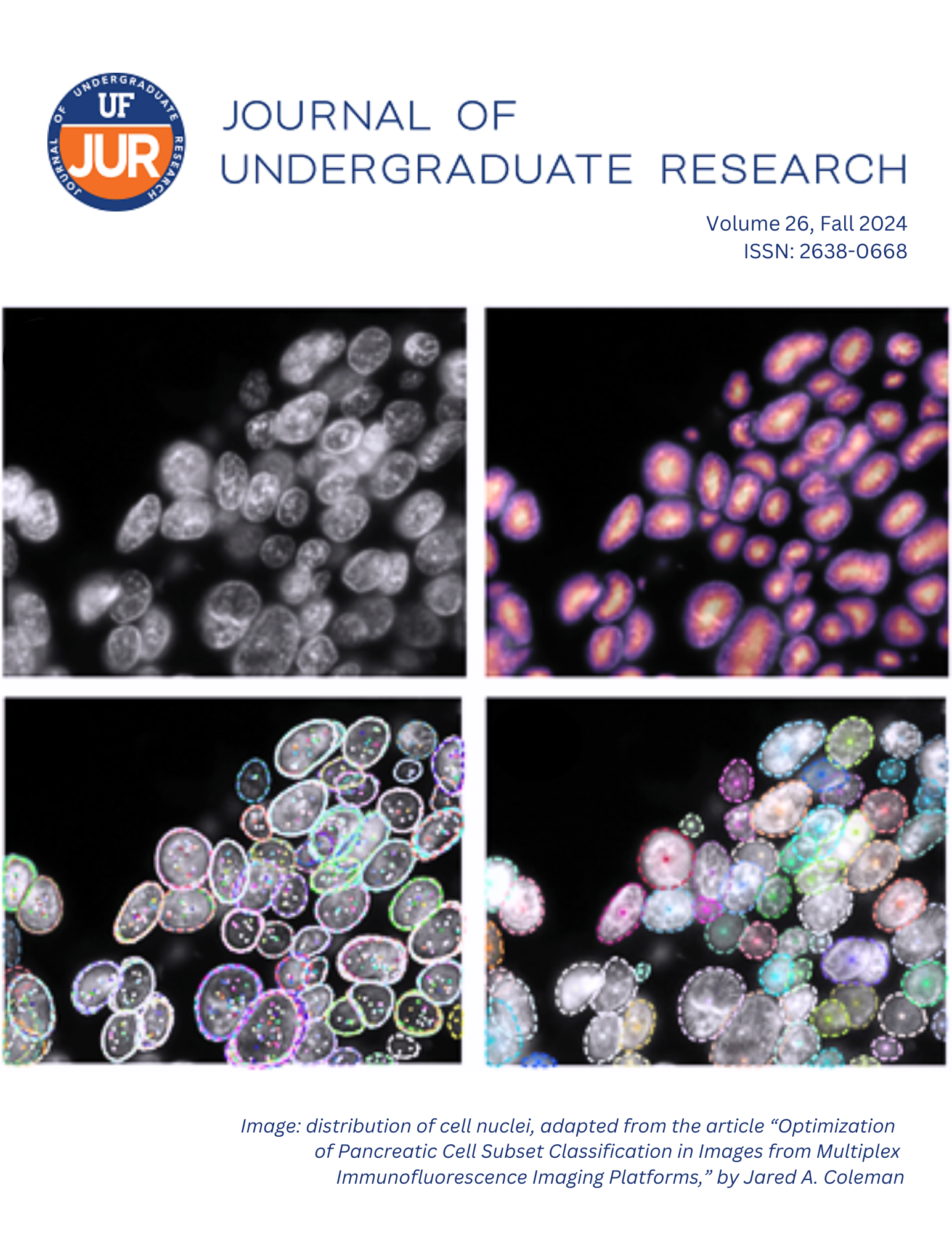 Font cover of the 2024 UF Journal of Undergraduate Research: Images of cell nuclei visualized in different colors.