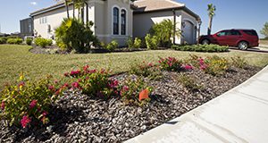 A curbside view photo of a Florida home landscape.