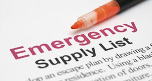 close-up photo of a portion of a sample document "Emergency Supply List"