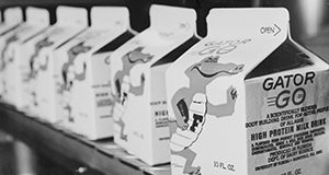 a close up photo of a line of 10 fluid ounce "Gator Go" milk cartons