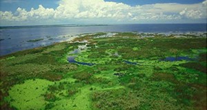 bird's eye view photo of Lake Okeechobee, looking out over the western marsh to open waters of the large lake