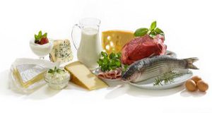 a still life photo of various protein-rich foods, including milk, cheeses, fish, meat and eggs
