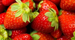 A close-up photo of freshly harvested strawberries.