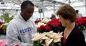 Photo of a young man in University of Florida hoodie assisting a middle-aged woman with poinsettia selection in a greenhouse full of poinsettias.