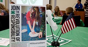 photo of tabletop 4-H literature stand reading "Join the Revolution of Responsibility" next to a small flag set with the U.S. and 4-H flags.
