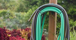 A photo of a coiled water hose hung on a post, awaiting use in a garden.