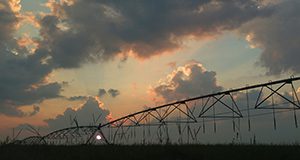 Citra, Pivot irrigation, sunset with clouds. UF/IFAS Photo: Josh Wickham