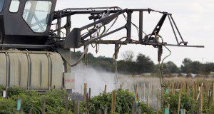 field application of pesticides. UF/IFAS Photo by Tyler Jones