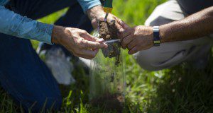 a close up of the hands of two people kneeling to collect a soil sample in a plastic bag