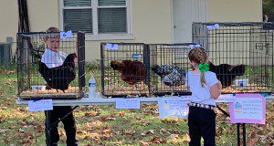 Two children evaluate chickens at a 4-H poultry show.