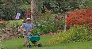 a person spreading fertilizer on a grassy area in a Florida landscape