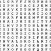 A word search.