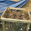 Mulch bin with mesh bags on the surface.