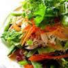 Salad with shredded chicken, various lettuces, sugar snap peas, shredded carrots, sliced orange peppers, radish sprouts, spring onions, and a ginger-cilantro-sesame vinaigrette.
