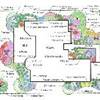A concept/functional plan that shows the layout and desired function of plants.