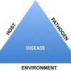 Disease triangle indicating interaction of the pathogen, host, and the environment leading to a plant disease.