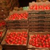 Tomatoes in crates.