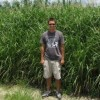 A man standing in front of stands of Miscanthus x giganteus.
