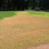 Herbicide runoff from an athletic field.