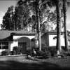 Black and white photo of a house and front lawn.