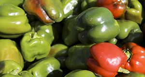 photo of a brightly lit pile of green and red bell peppers