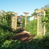 Lattice and hanging baskets in a garden.