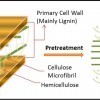 Schematic diagram showing the effect of pretreatment on ligno-cellulosic biomass.