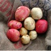Red and white potatoes.
