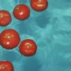 Tomatoes floating in water.