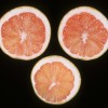 Fruit showing calcium deficiency symptoms.