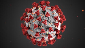 virus que causa COVID-19.