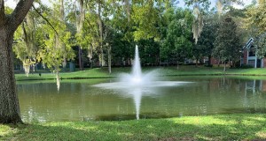 A stormwater pond in a residential neighborhood in Gainesville, FL. This fountain provides important functions to the pond while also providing aesthetic benefits. Credits: Samantha Howley, UF/IFAS