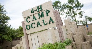4H Camp Ocala sign.  Photo Credits:  UF/IFAS Photo by Lyon Duong
