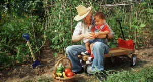 An older man in a brimmed hat sits on a wagon outdoors with a small child on his lap and a basket of vegetables in front of them. Image was taken prior to national guidelines of face coverings and social distancing. Credit: UF/IFAS File Photo