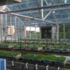 The overview of a greenhouse operation.