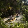 Three kayakers in a Florida spring