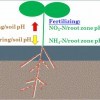 A schematic diagram of soil pH adjustment with lime, sulfur, and nitrogen fertilizers.