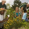 Florida Master Gardeners working with children