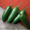 Three capsico jalapeño peppers