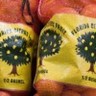 Bagged Florida oranges