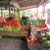 Fruit and vegetable stand on Krome Avenue in Homestead.