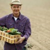 Farmer holding a box of vegetables