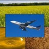 An image of an airplane over images of a field, oil, and seeds. Represents from field to flight.