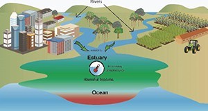 Climate Change and the Occurrence of Harmful Microorganisms in Florida’s Ocean and Coastal Waters