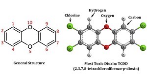 The general structure of dioxins and the most toxic dioxin (TCDD)