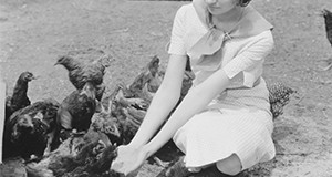 Young woman feeding chickens