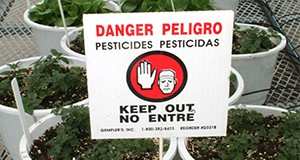 A photo of a sign in nursery container: "Danger Pesticides, Keep out/Peligro pesticidas, No entre"