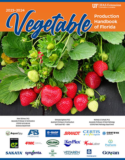 Cover of the Vegetable Production Handbook 2023 2024. Picture of fresh strawberries.