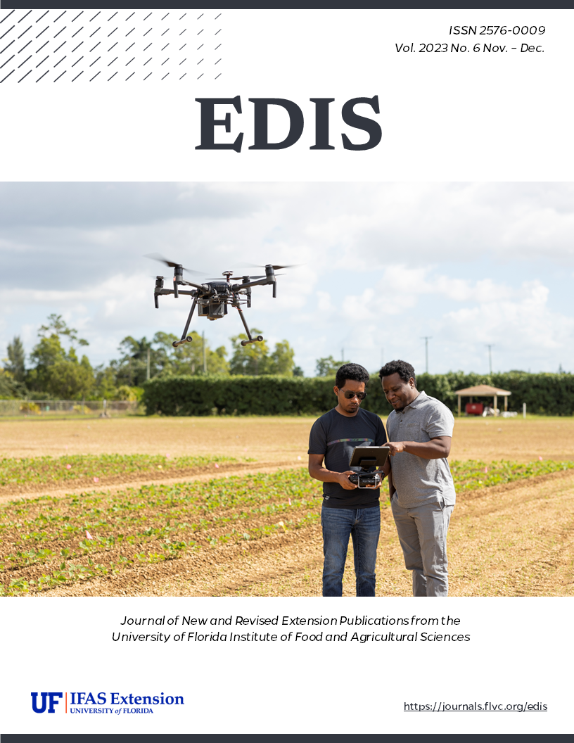 EDIS cover issue 6 November - December 2023